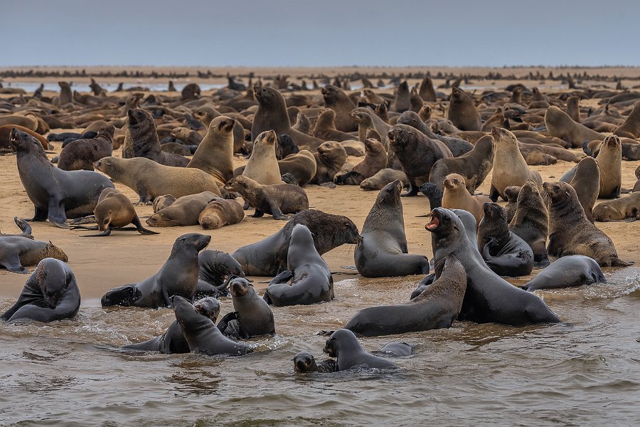 124 Walvisbaai, Namibie.jpg